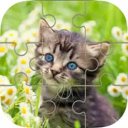 Cat Kitten Jigsaw - Puzzles Games for Girls Who Love Baby Animals