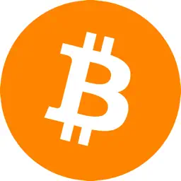 Bitcoin Maximalist