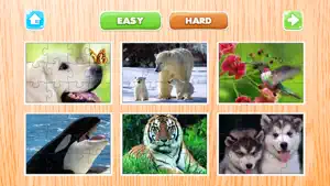 动物 难题 对于 成人 拼图 拼图 游戏 自由截图3