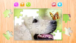 动物 难题 对于 成人 拼图 拼图 游戏 自由截图1